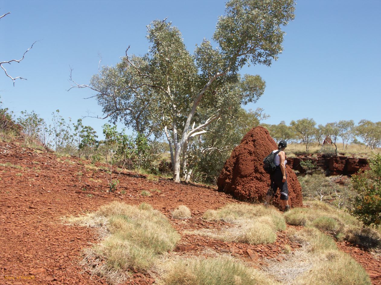 A 141 Karijini