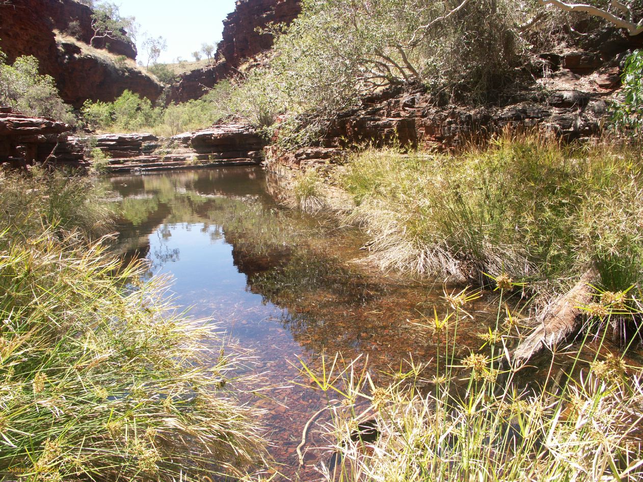 A 142 Karijini