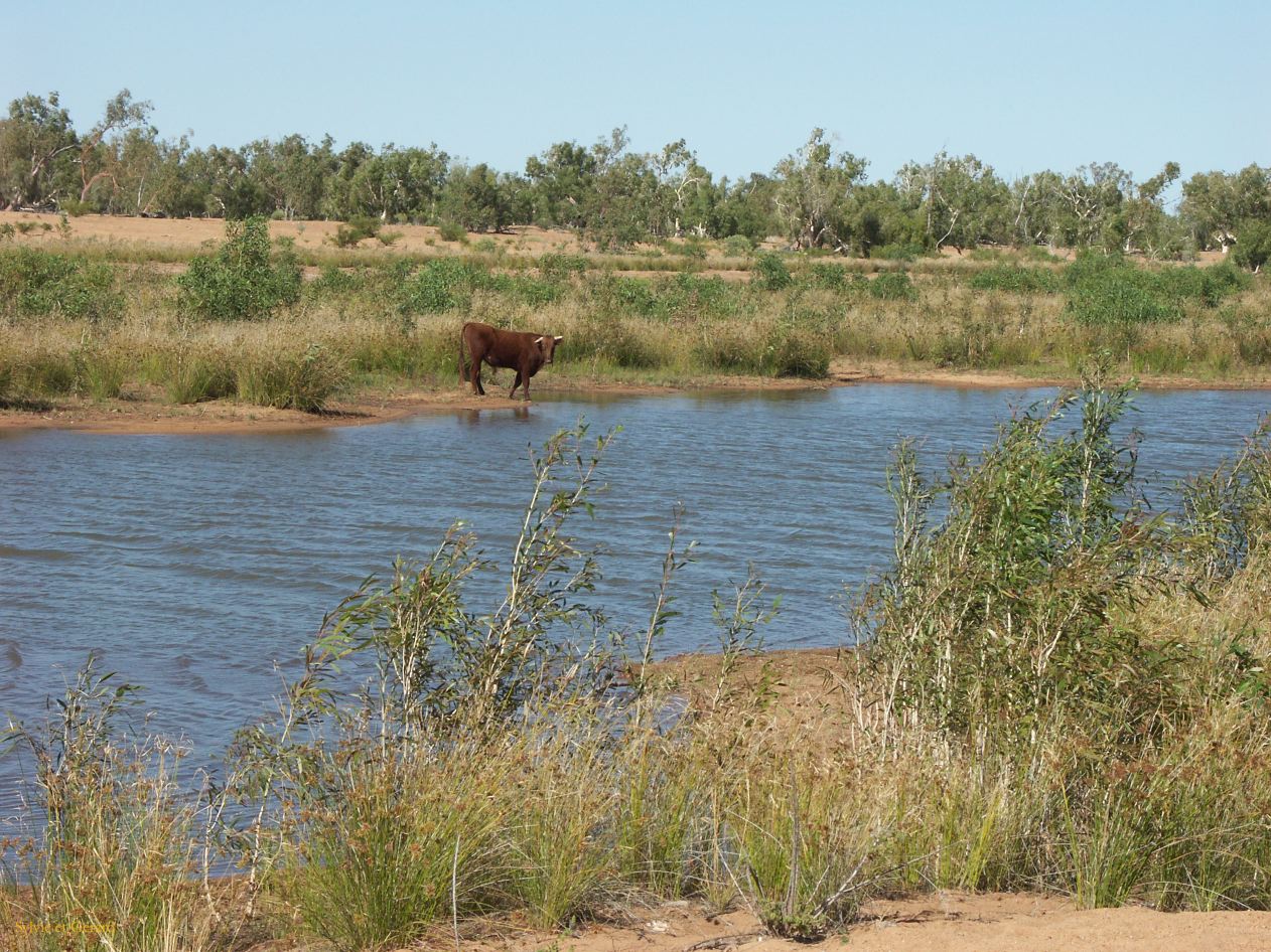 A 148 Karijini