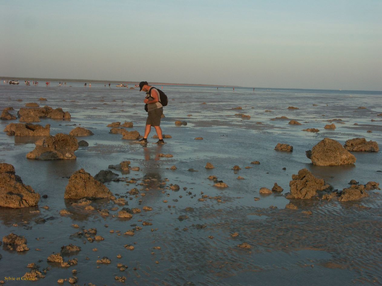 B 004 Broome