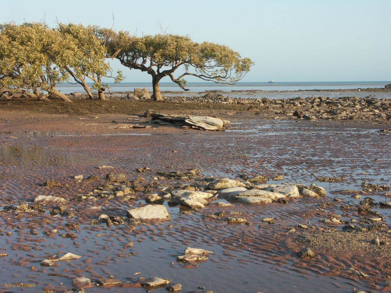 B 005 Broome