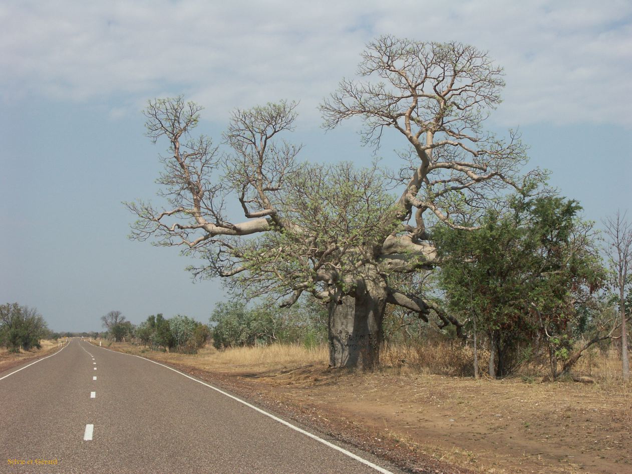 B 046  Kununura