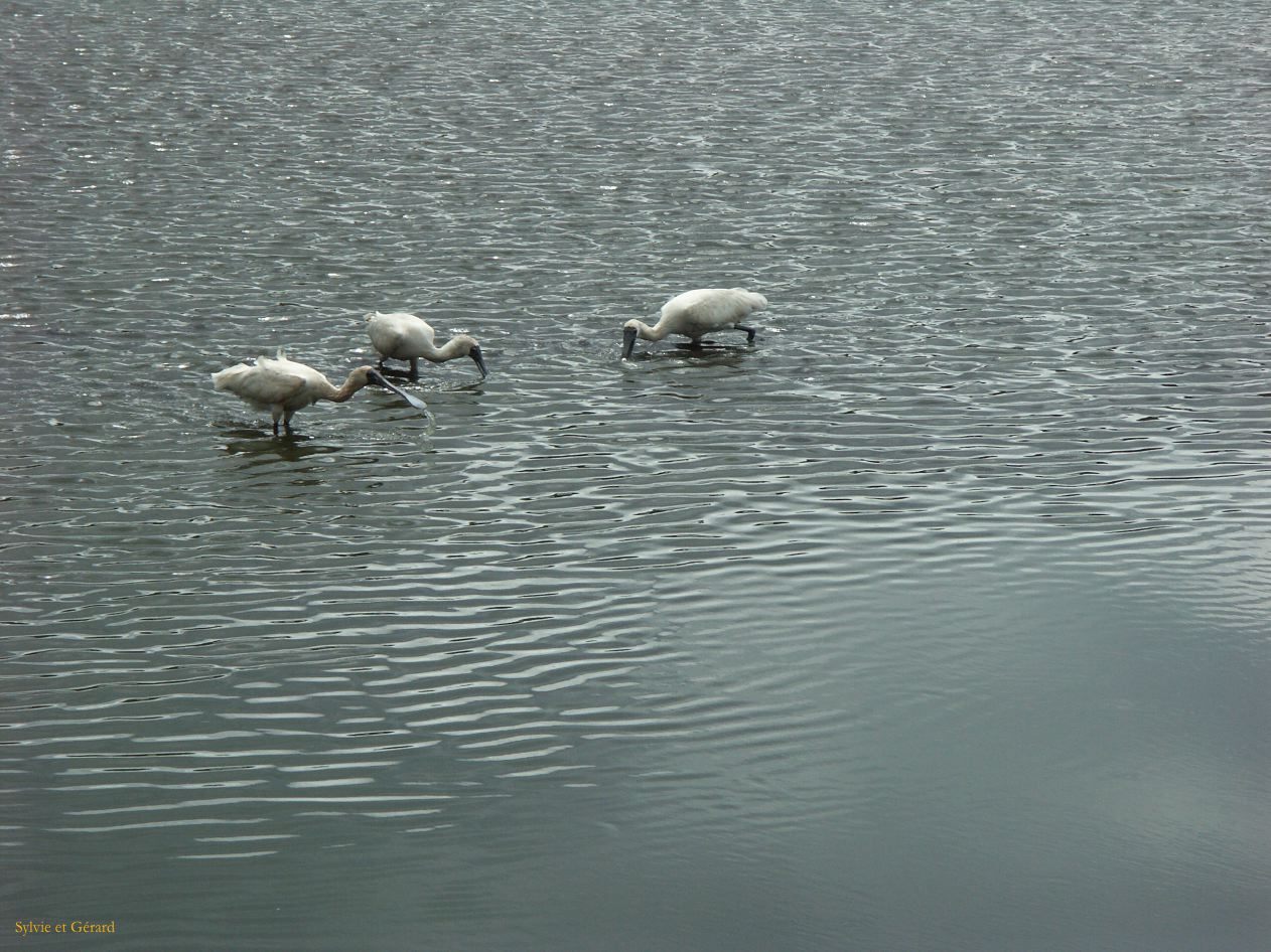 B 130 Wildlife Park
