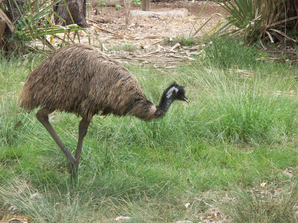 B 133 Wildlife Park
