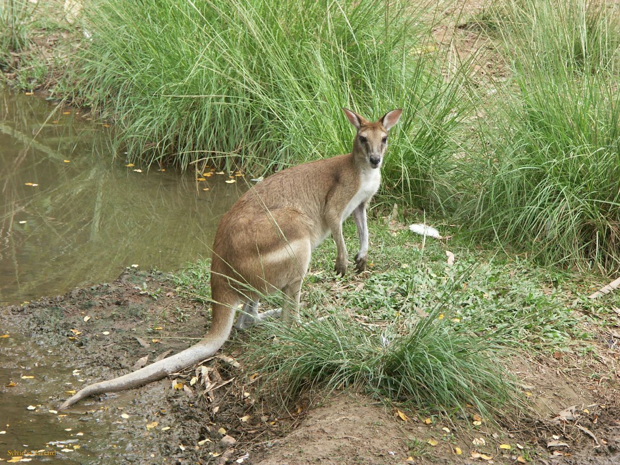 B 134 Wildlife Park
