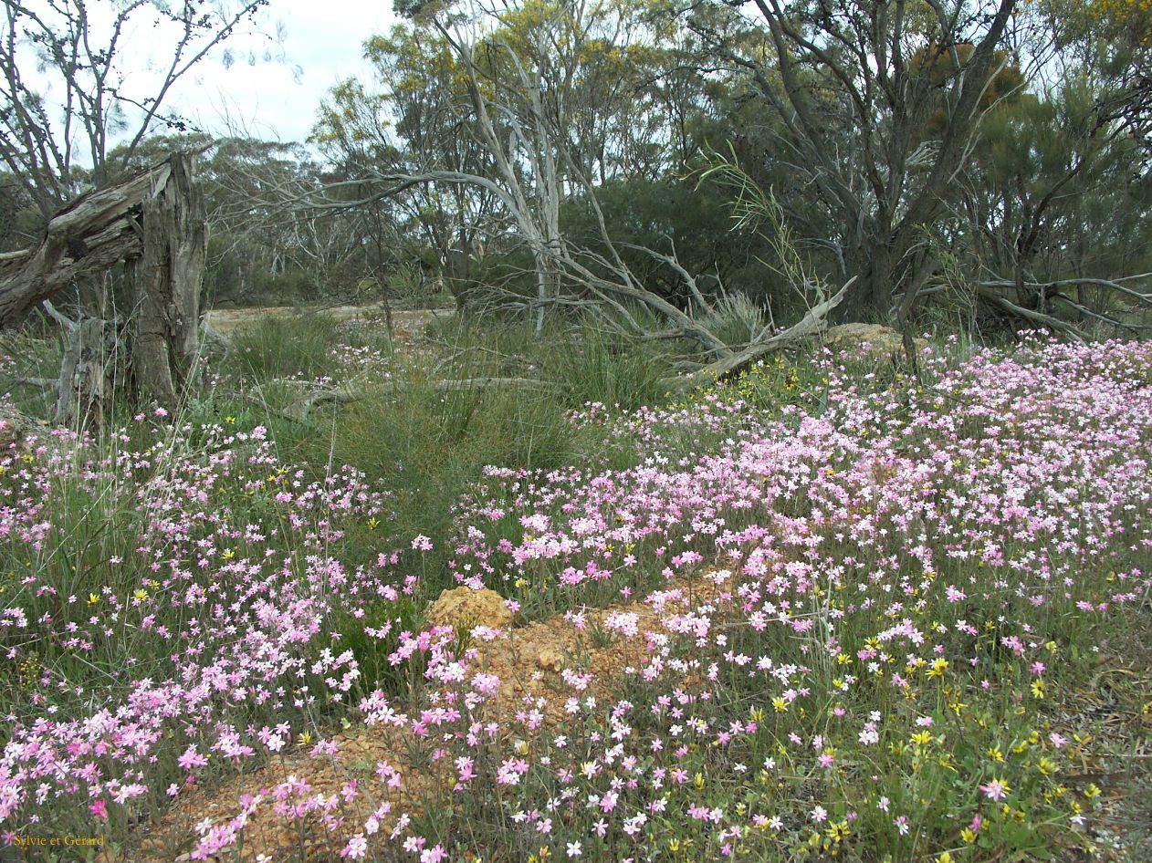 A 030 around Perth