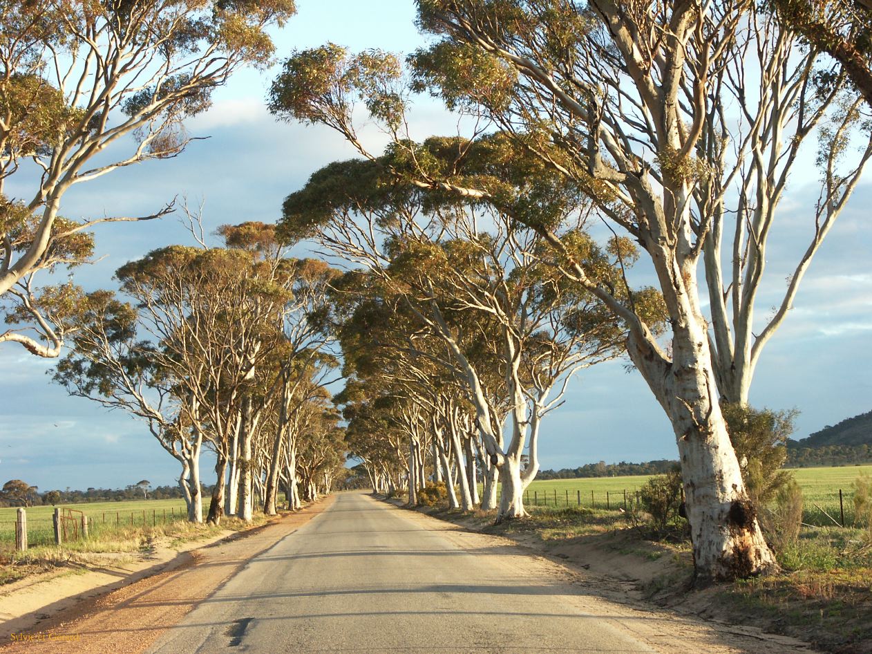 A 031 around Perth