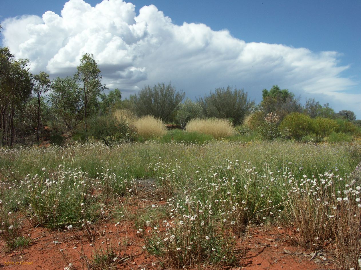 B 168 Alice Springs