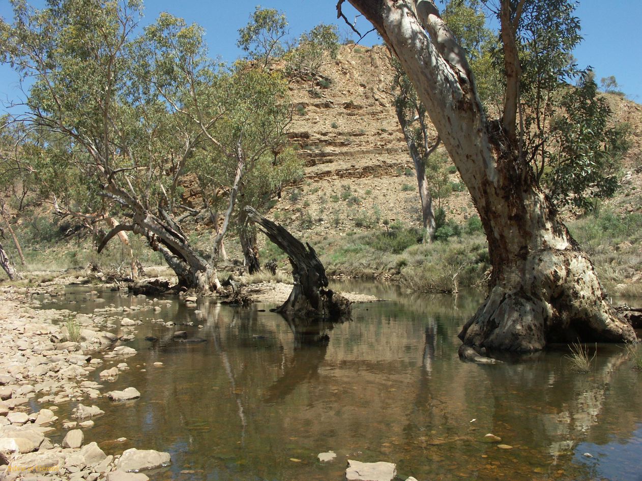 B 180 West MacDonnells Ranges