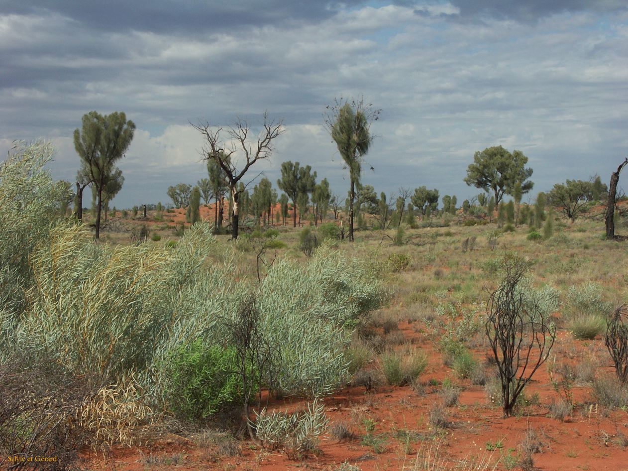 B 216 Ayers Rock