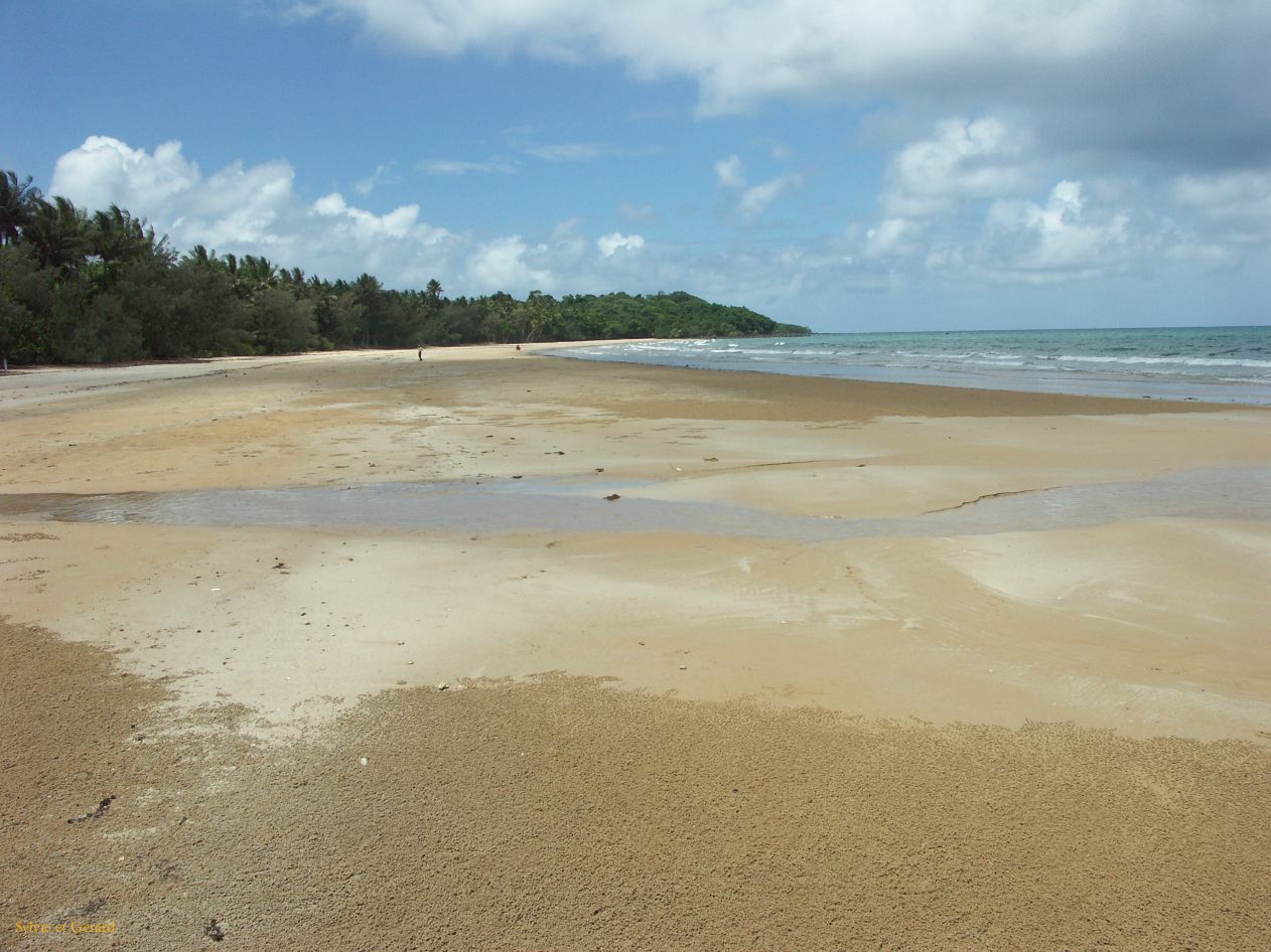 C 054 Wongaling Beach