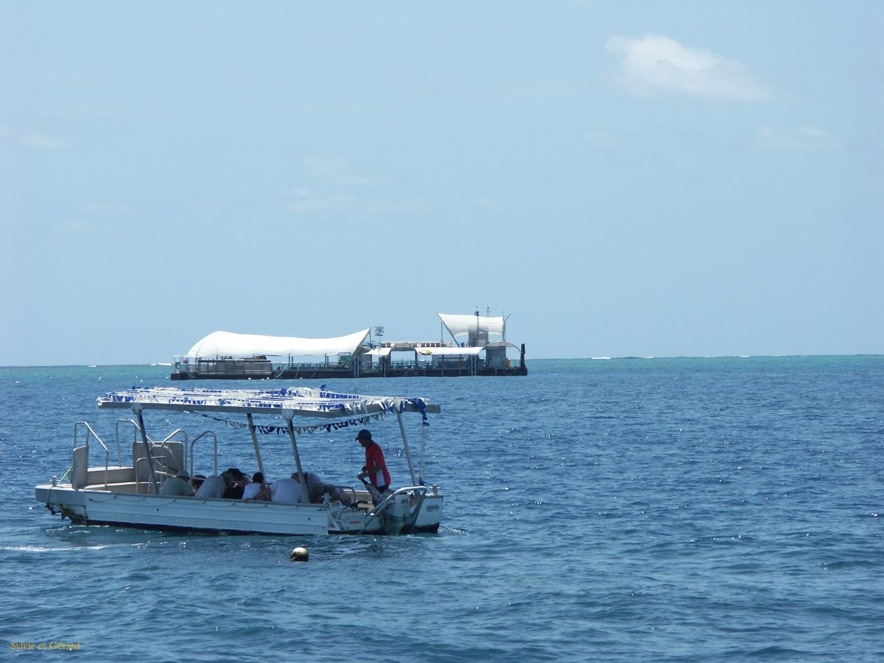 C 137 Cairns
