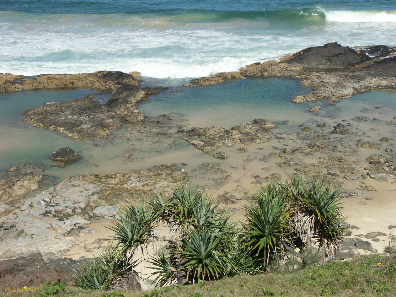 C 209 Fraser Island