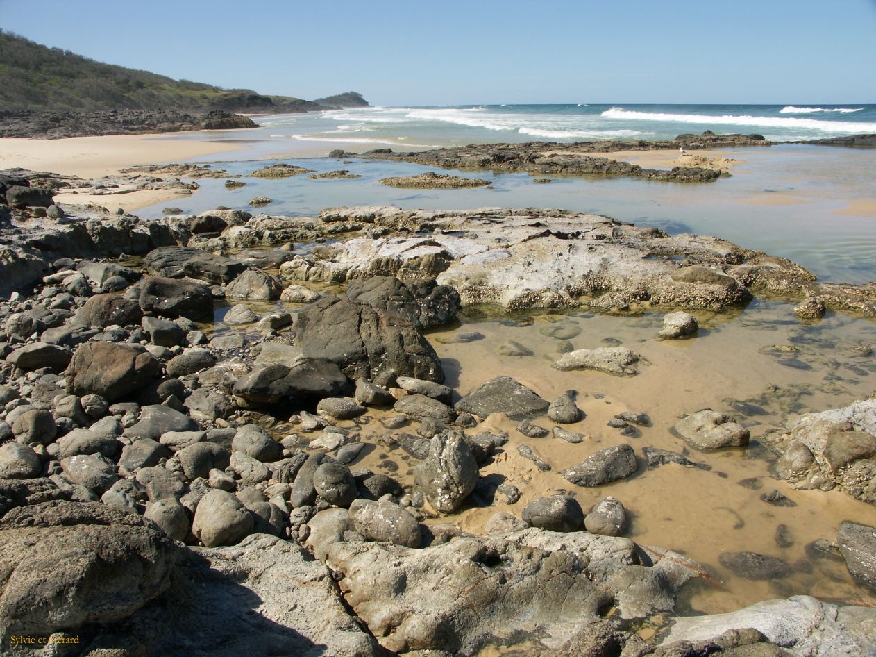 C 211 Fraser Island