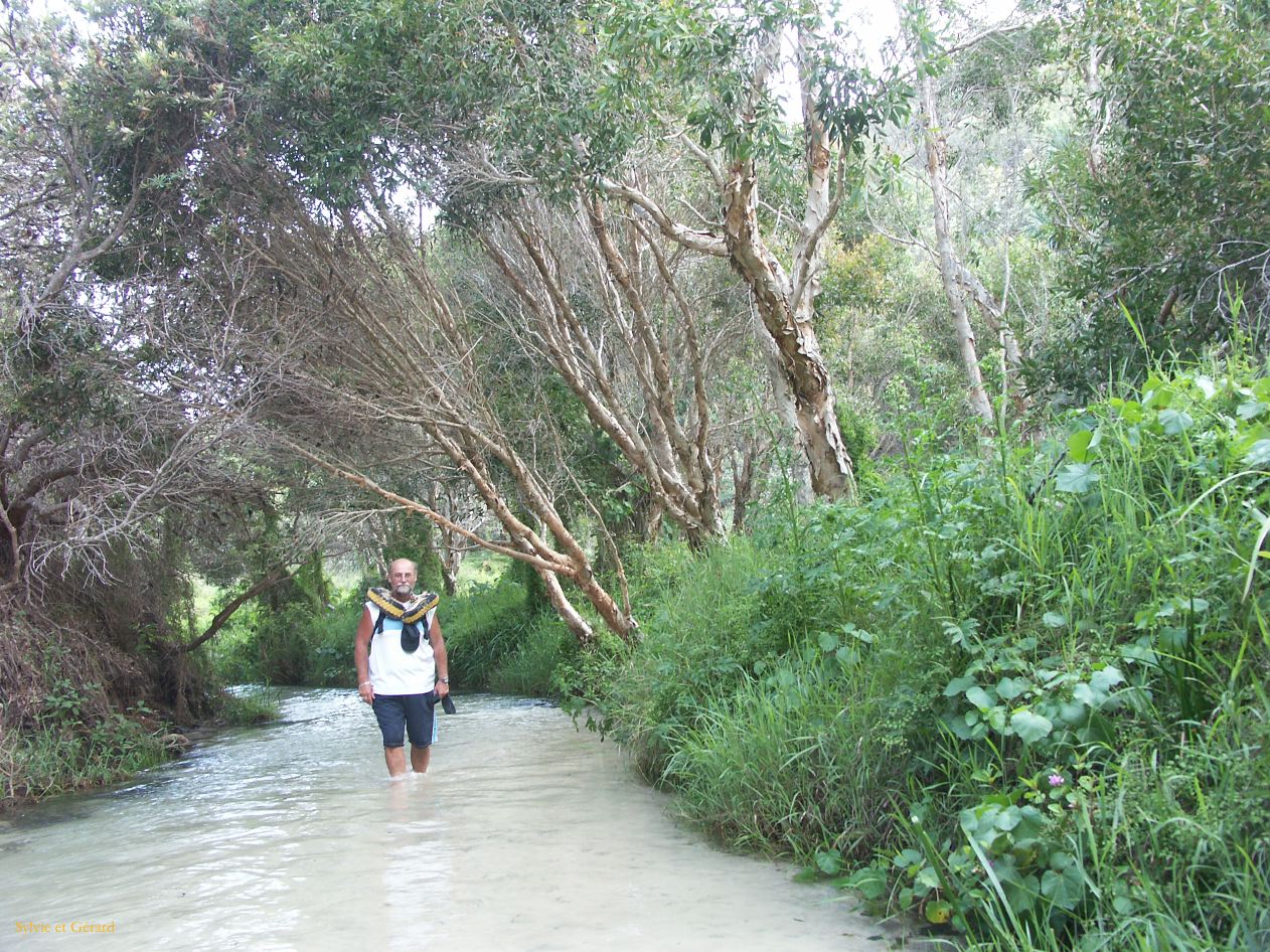 C 216 Fraser Island