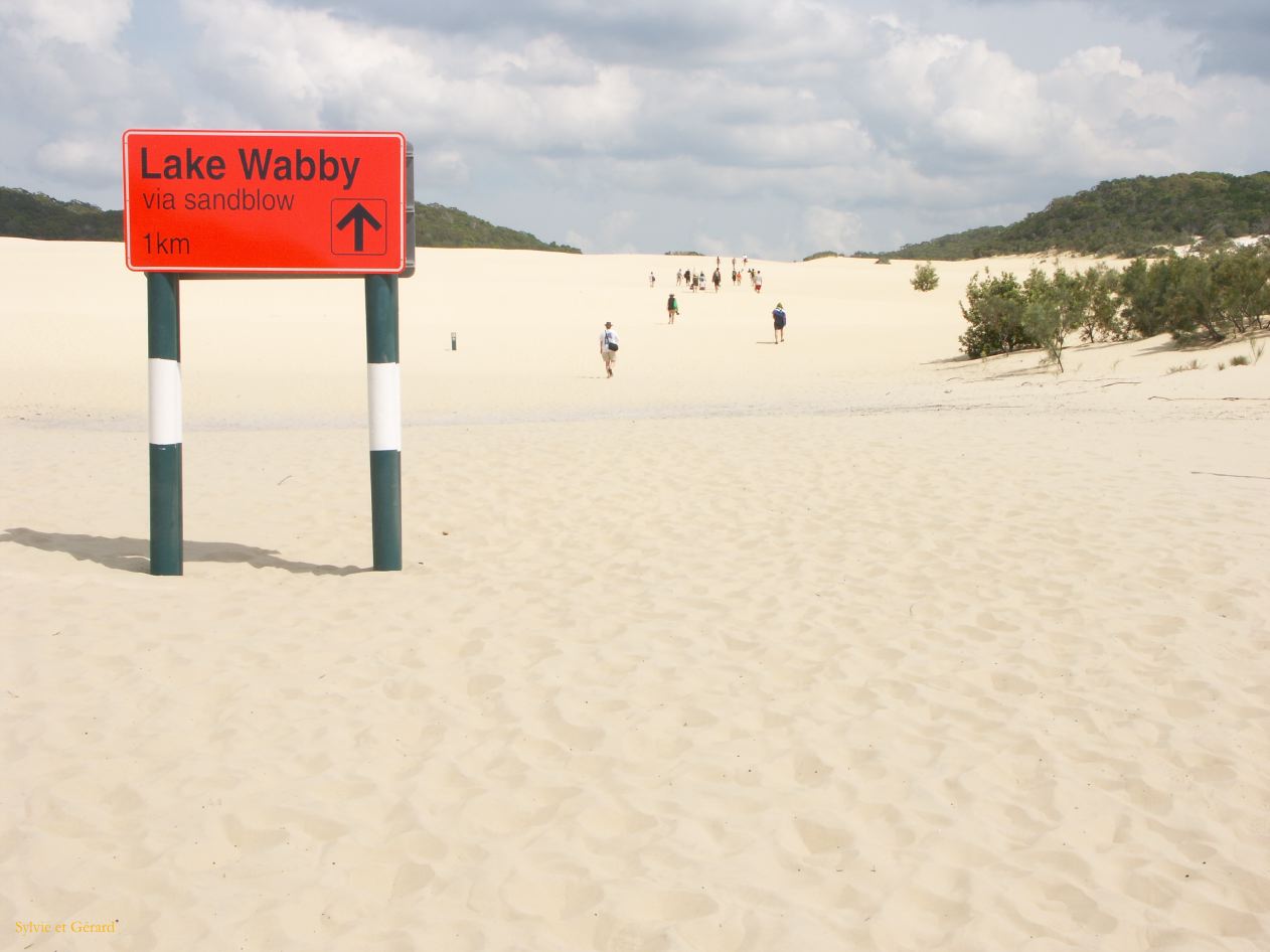 C 219 Fraser Island