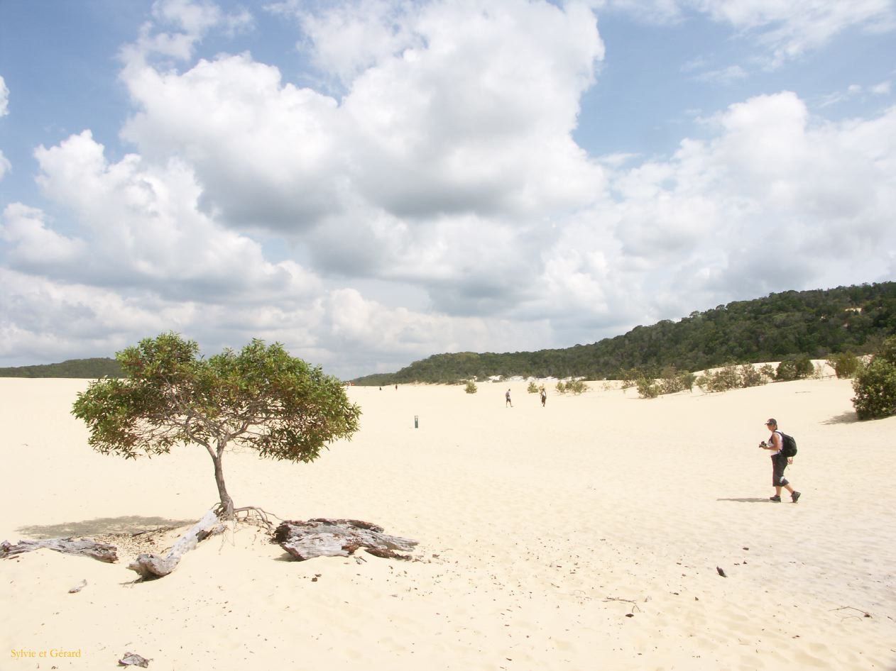C 220 Fraser Island