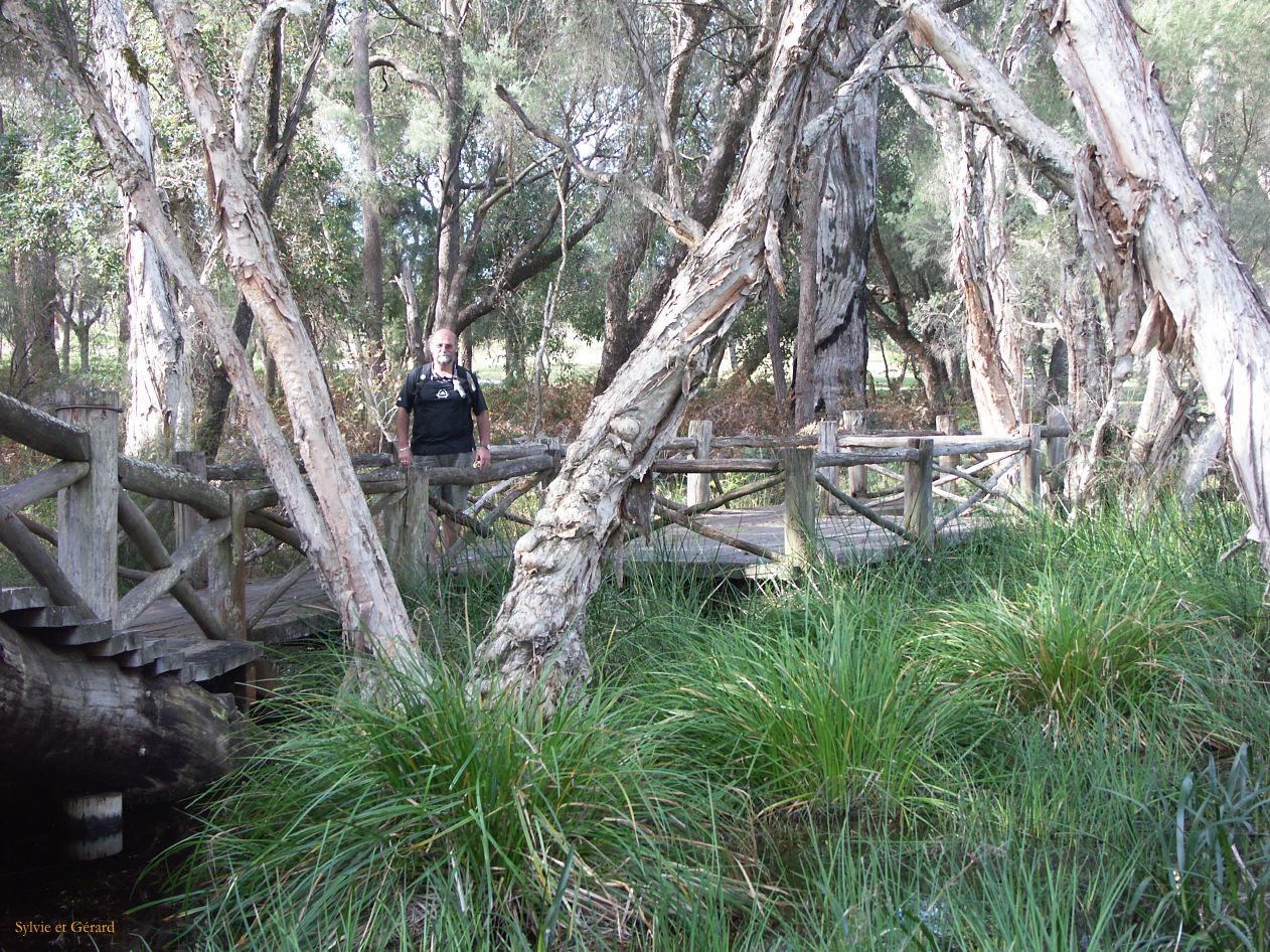 A 061 Whiteman Park