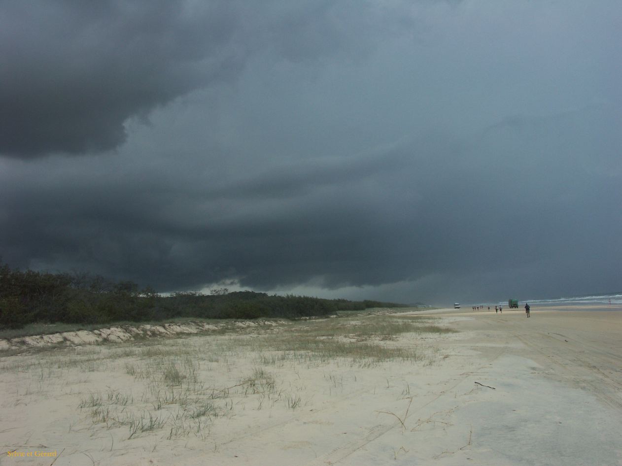 C 222 Fraser Island