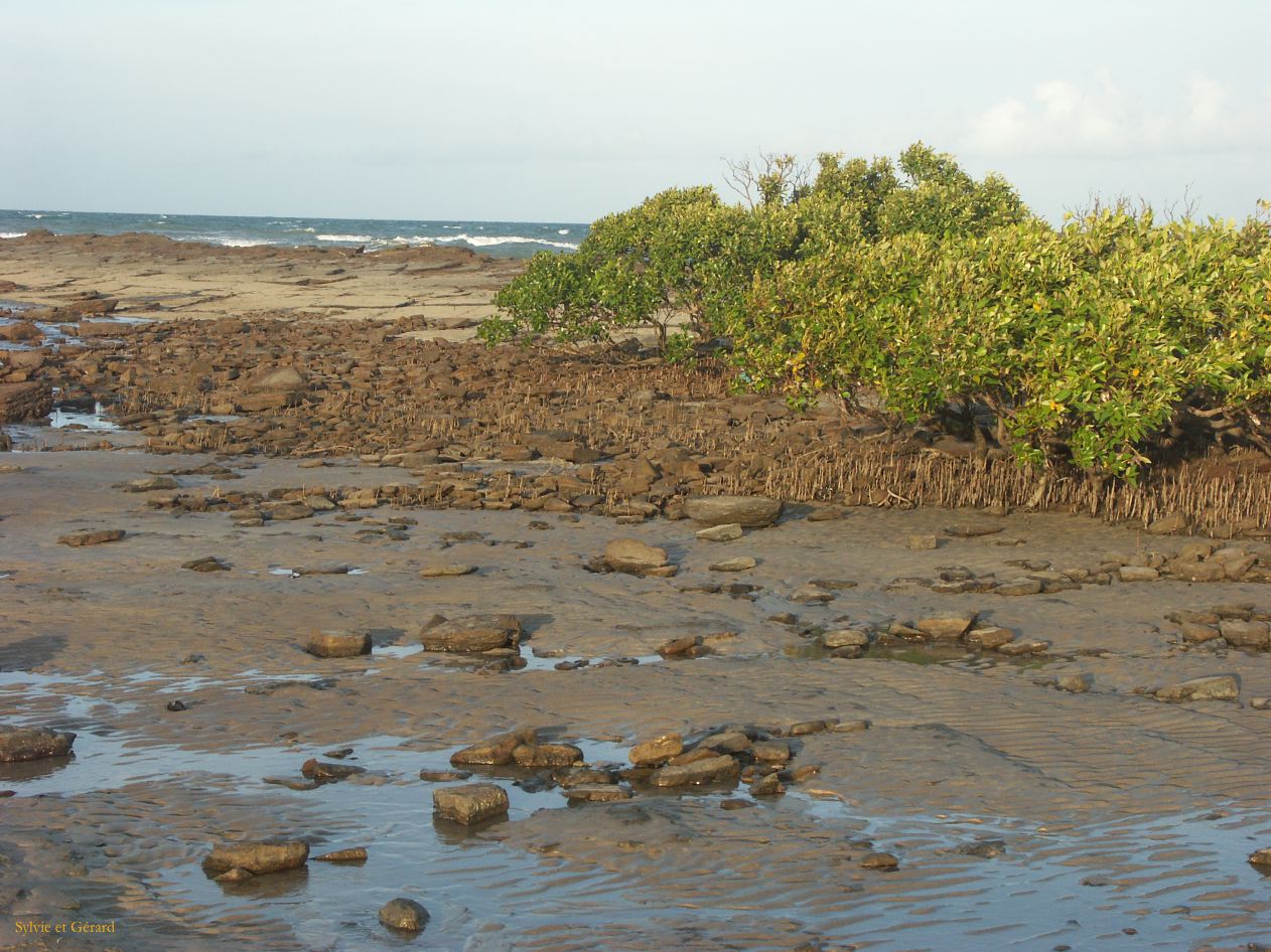 D 002 Hervey Bay