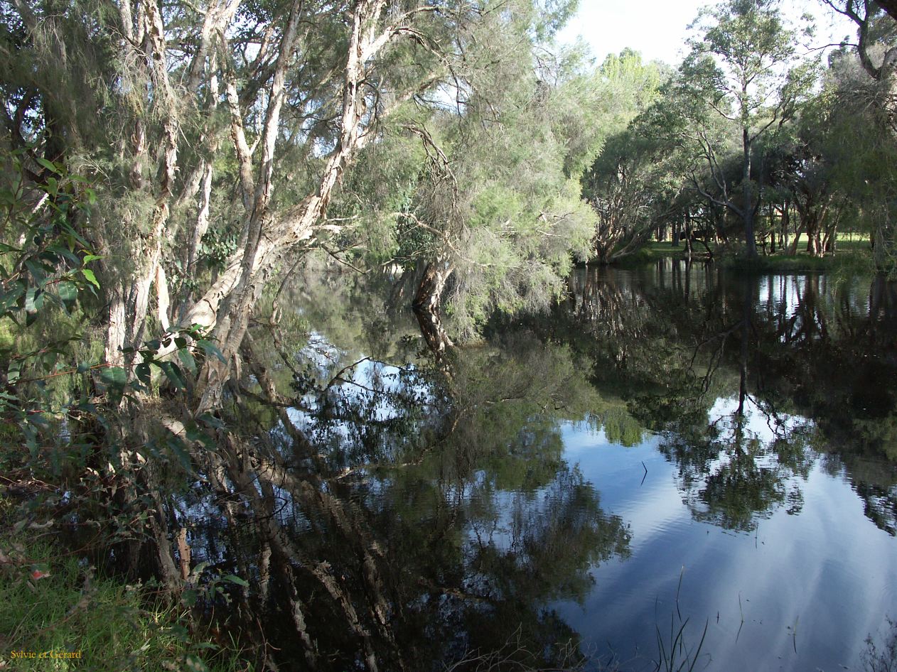 A 062 Whiteman Park