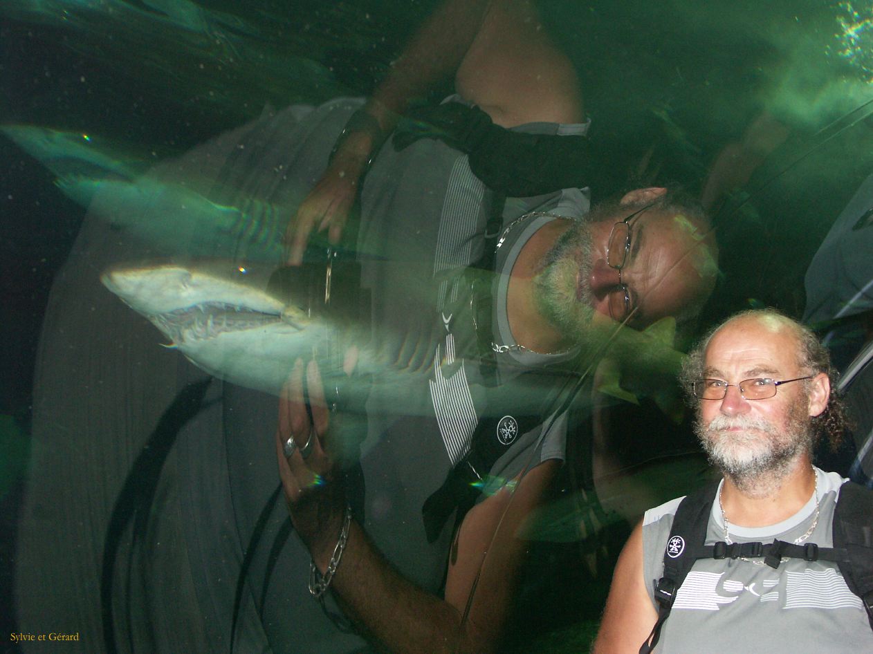 D 014 Aquarium Moololaba