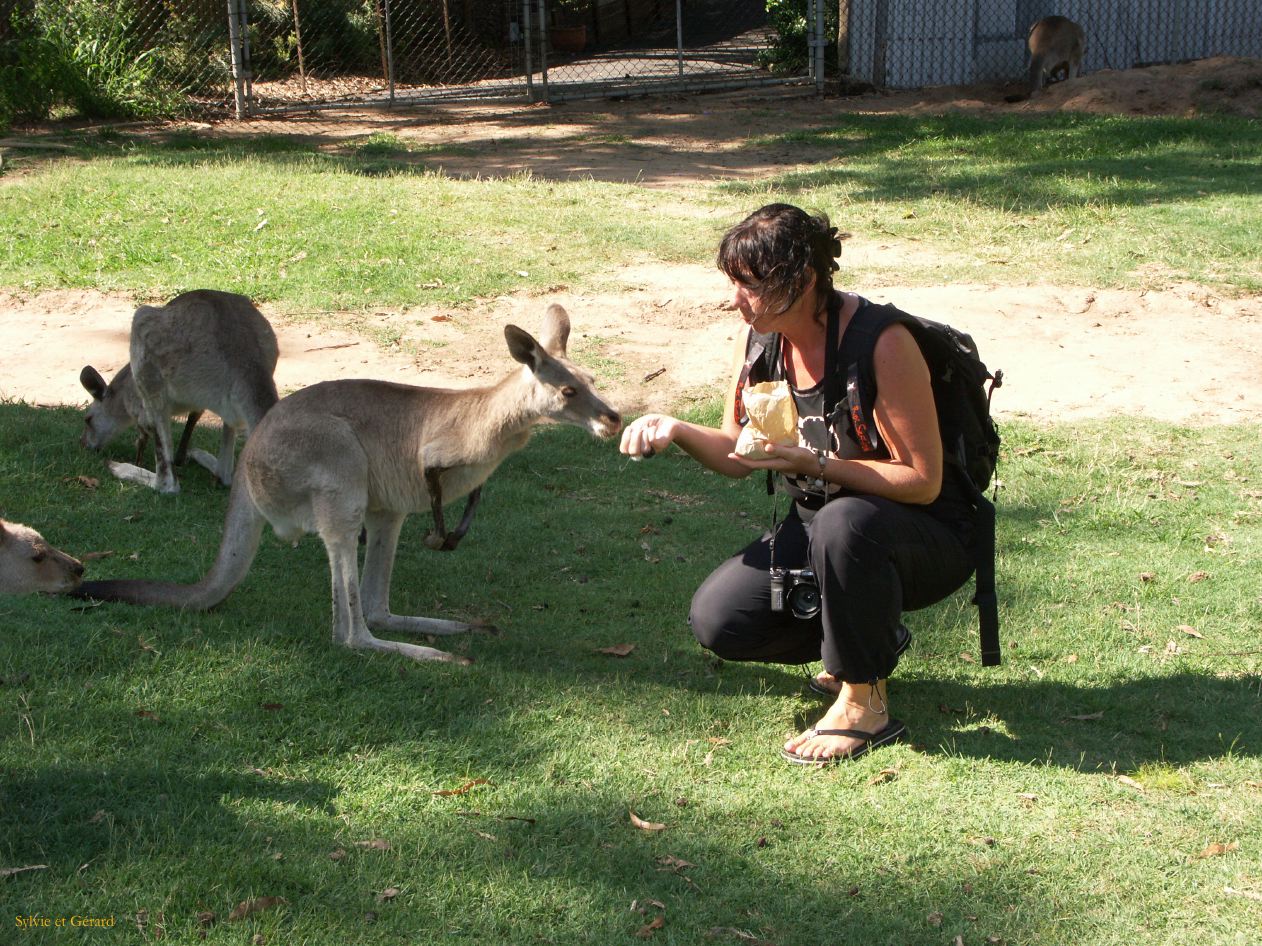 D 049 Brisbane