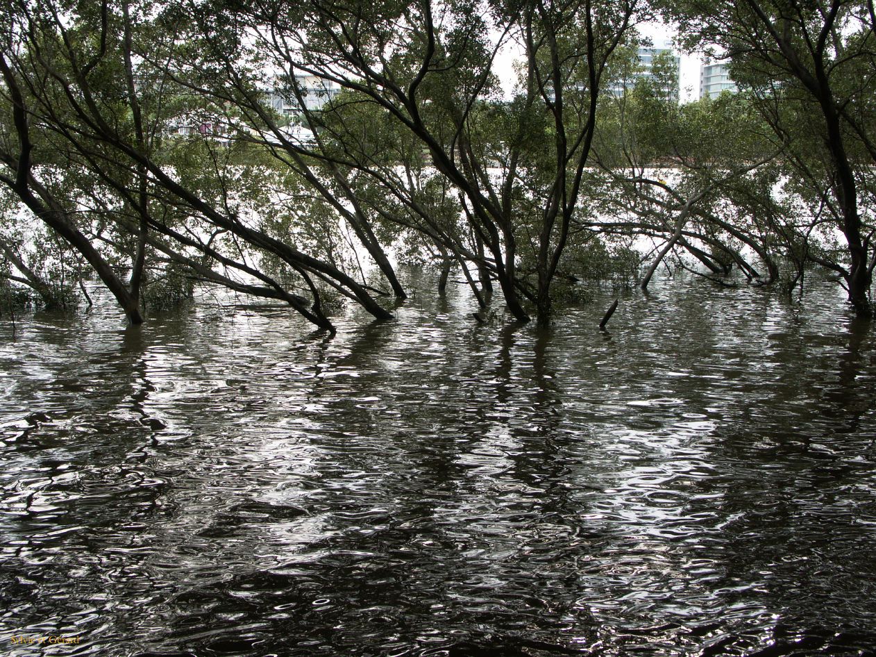 D 085 Brisbane
