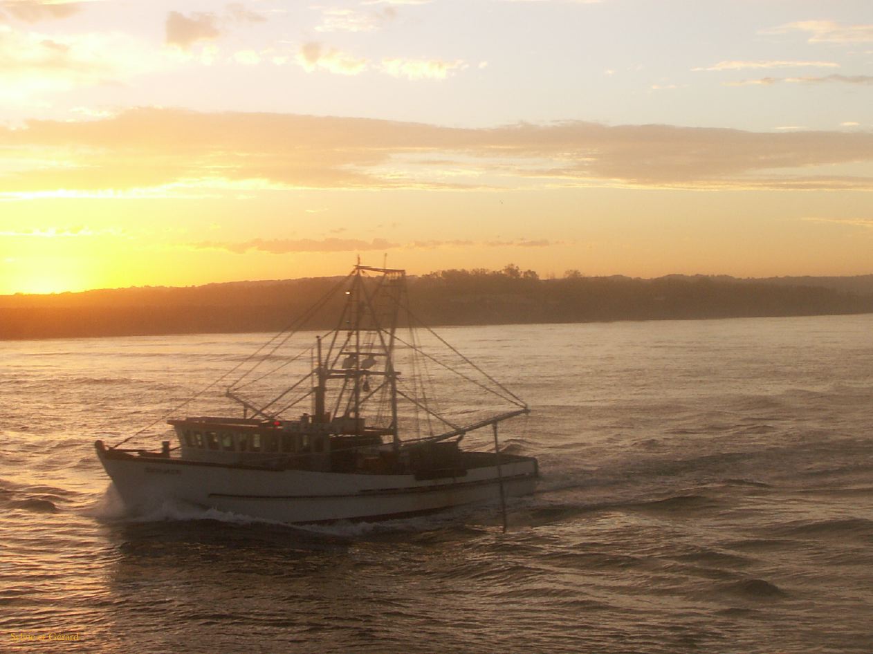D 089 Ballina