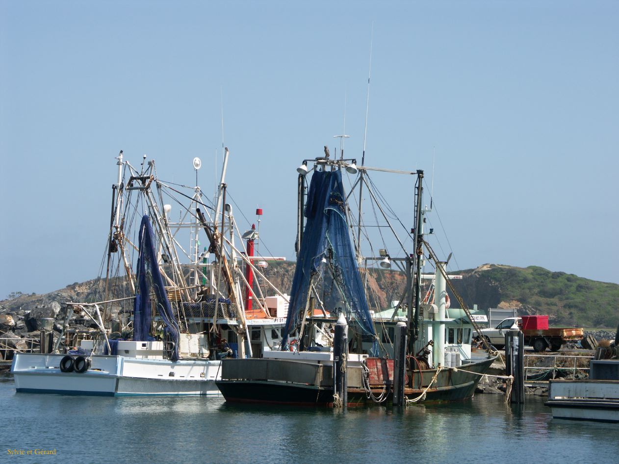 D 090 Coffs Harbour