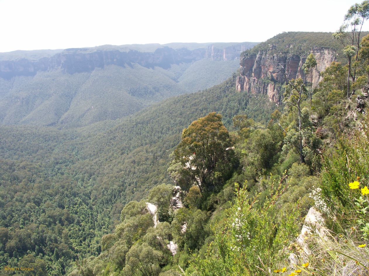 D 102 Blue Mountains