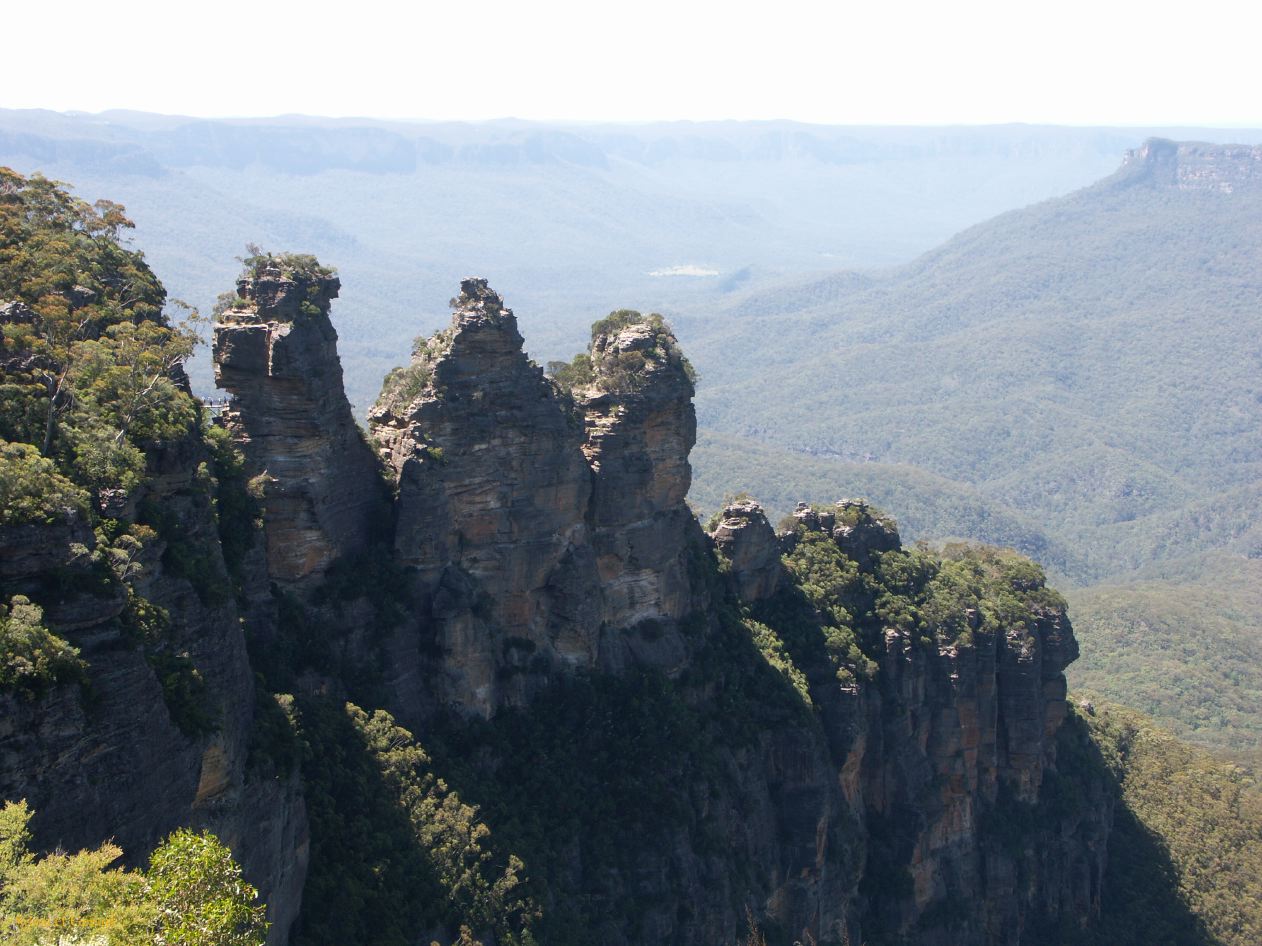 D 116 Blue Mountains