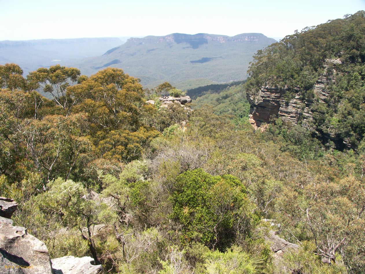 D 119 Blue Mountains