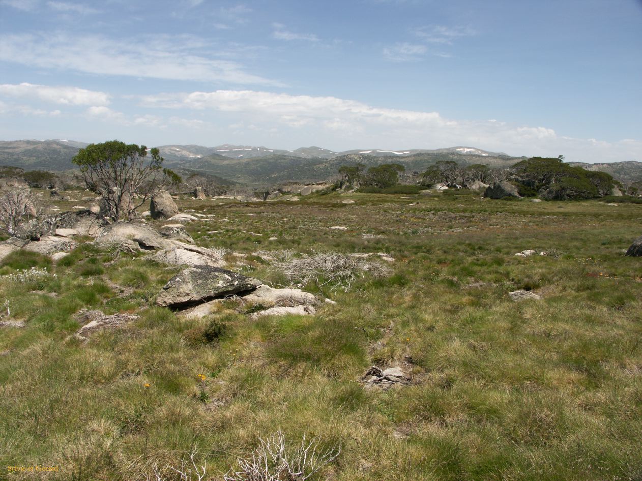 E 005 Kosciusko Park