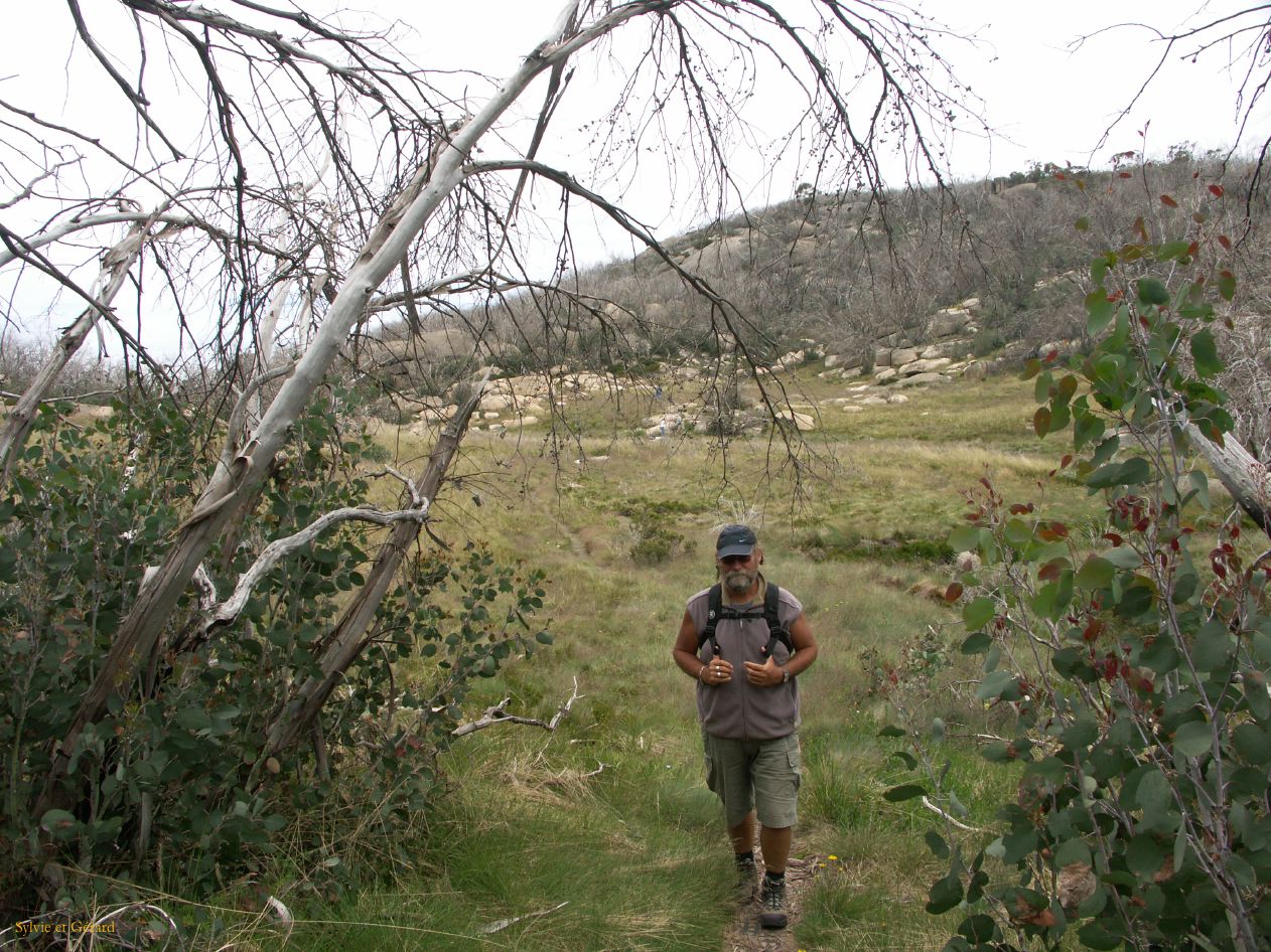 E 013 Alpine National Park