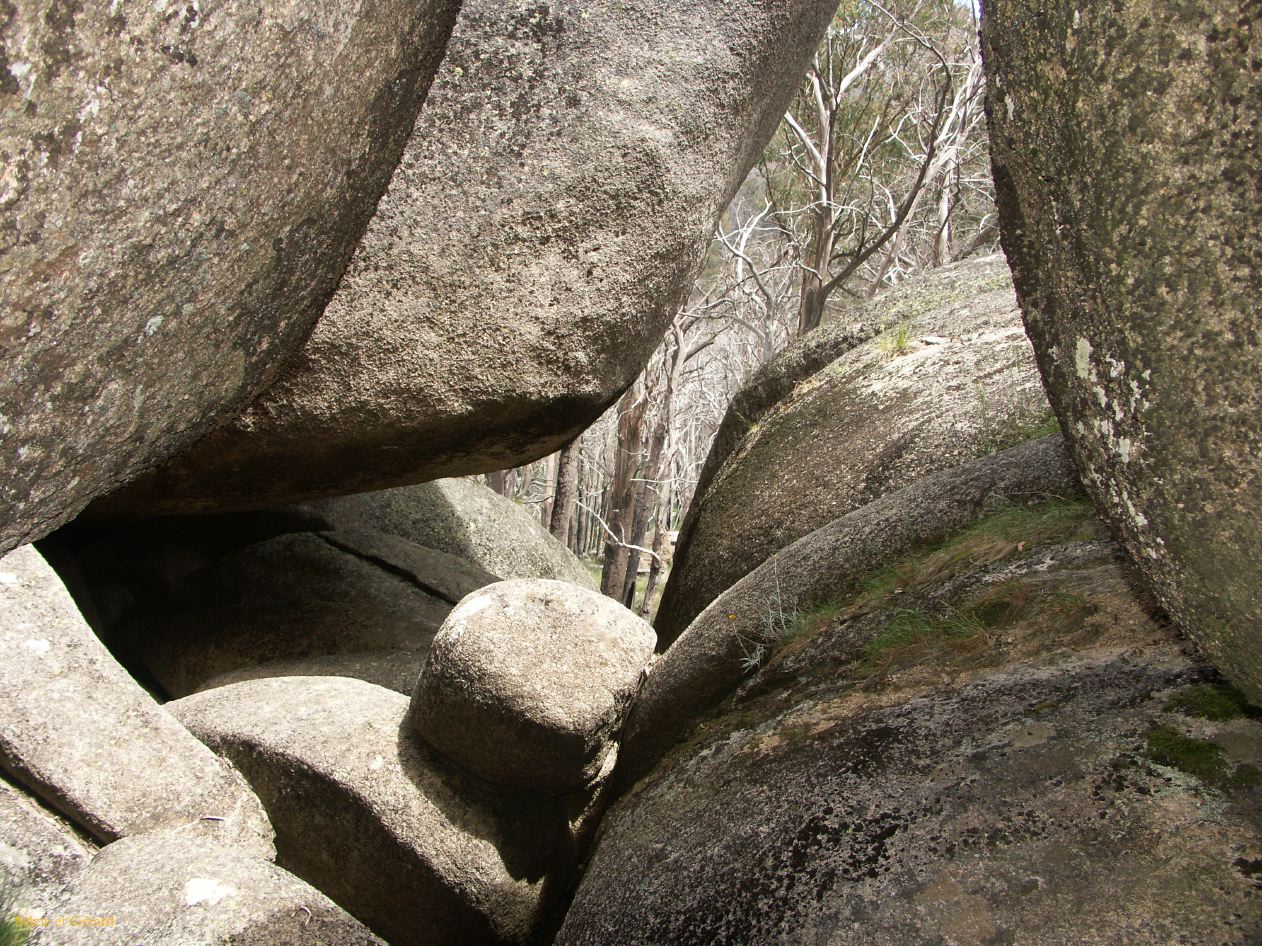 E 019 Alpine National Park