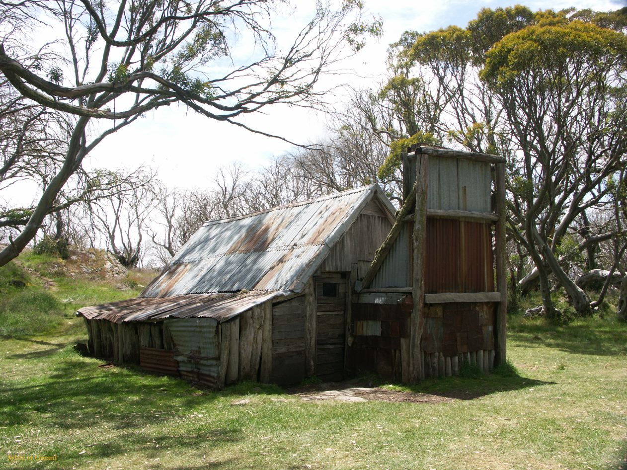 E 026 Alpine National Park