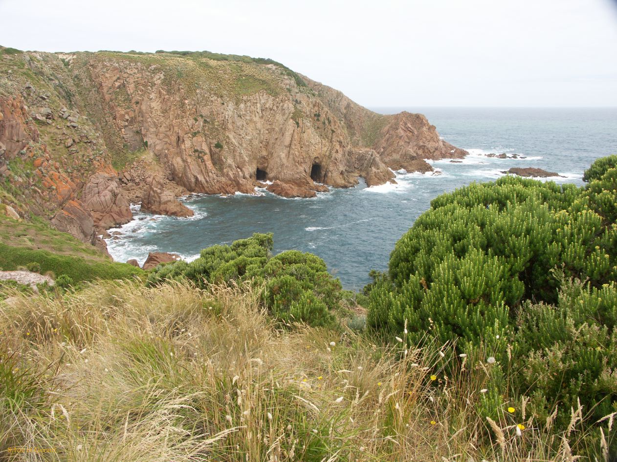 E 065 Philipp Island