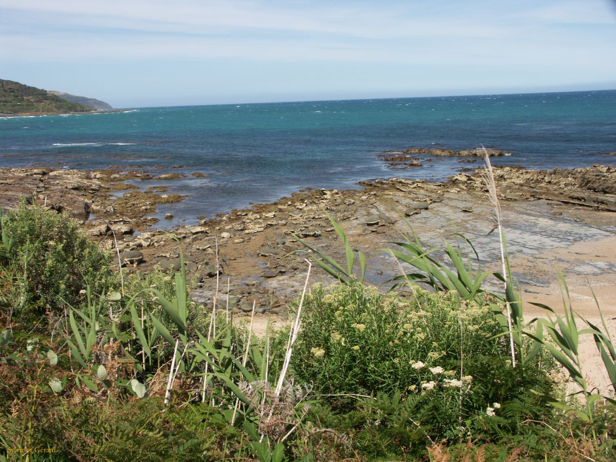 E 066 Great Ocean Road