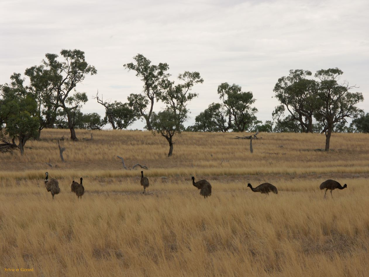 E 081 Halls Gap