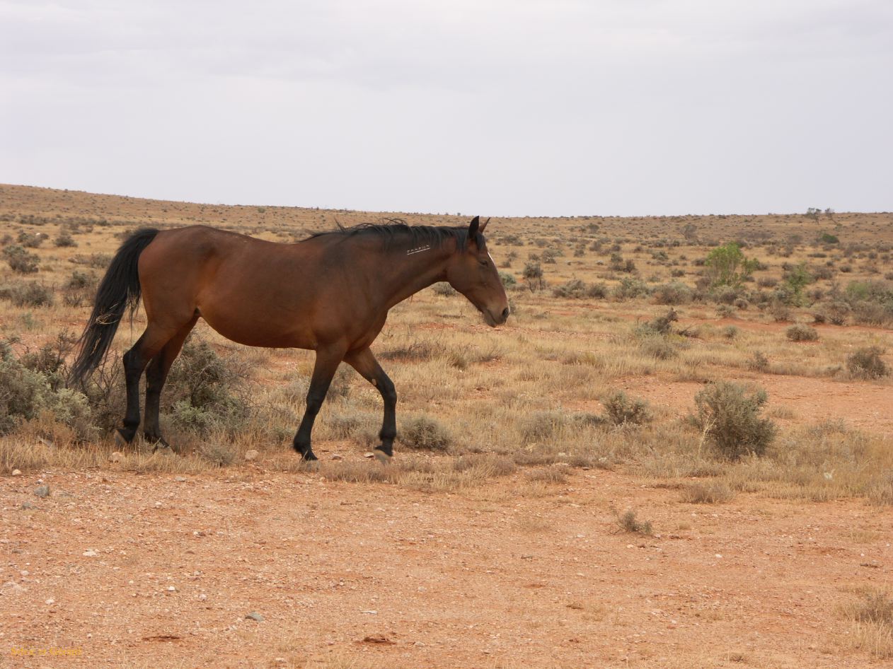 E 089 Broken Hill