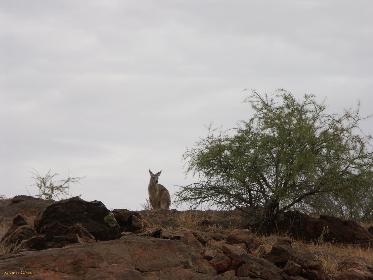 E 090 Broken Hill