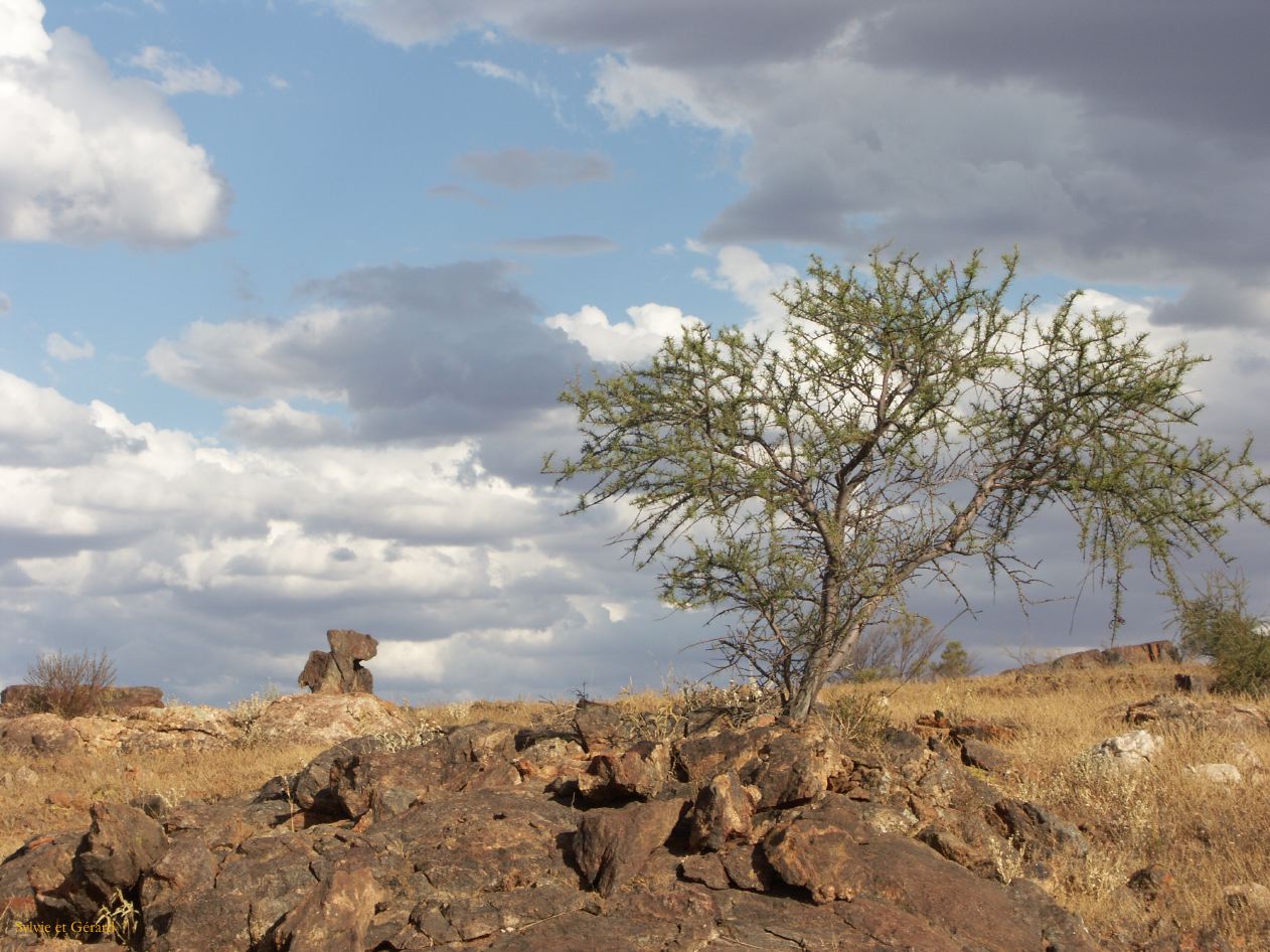 E 102 Broken Hill