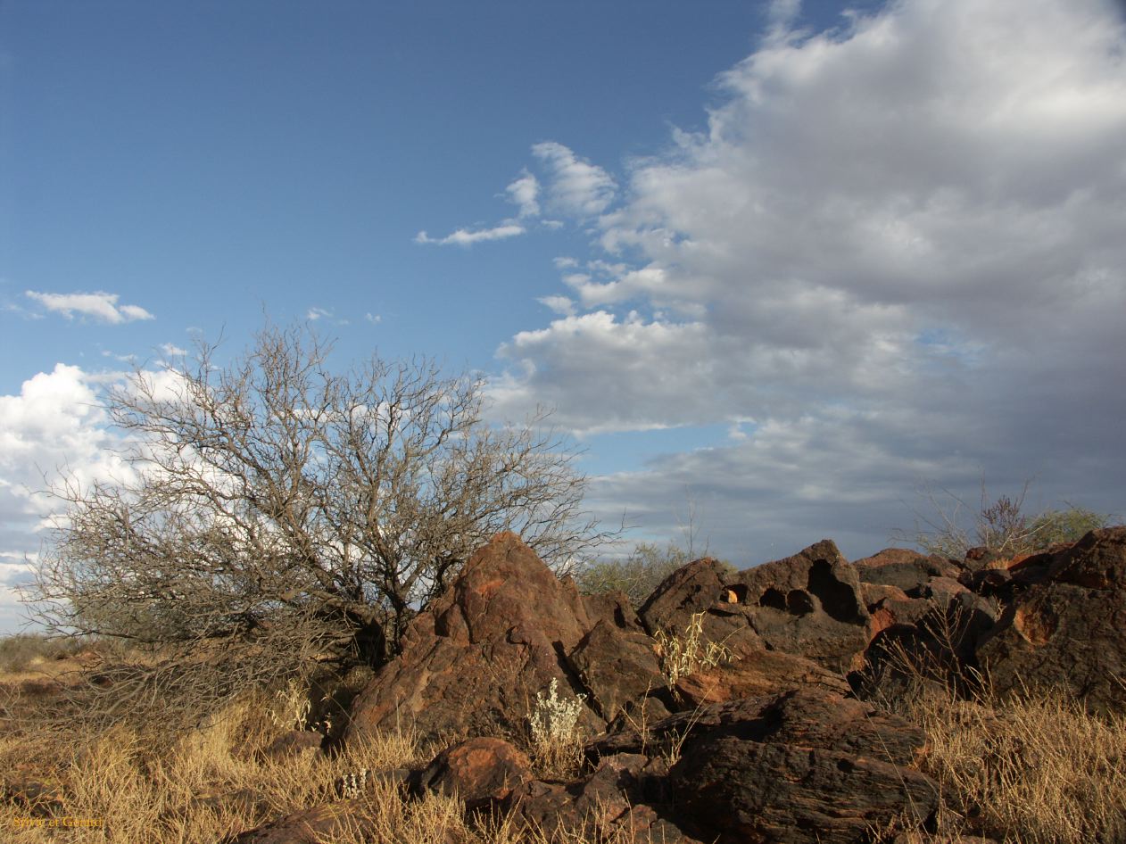 E 107 Broken Hill