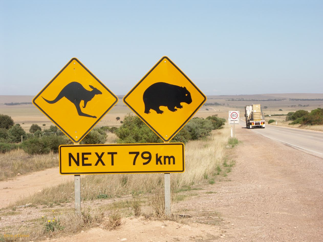 E 146 Nullarbor