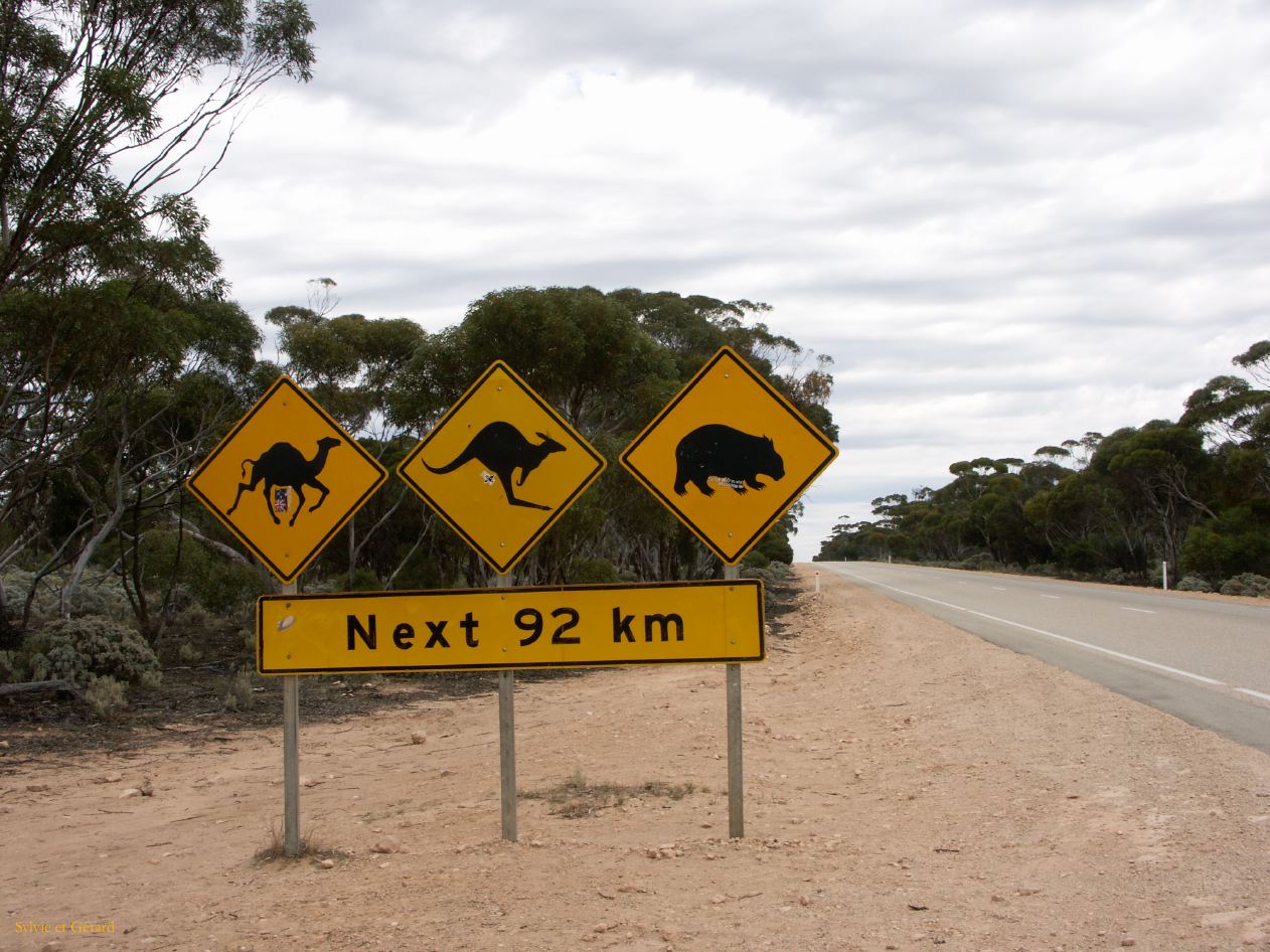 E 150 Nullarbor