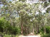 F 043 Margaret River