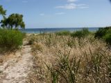 F 059 Busselton