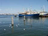 F 063 Fremantle