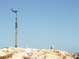 F 082 Fremantle